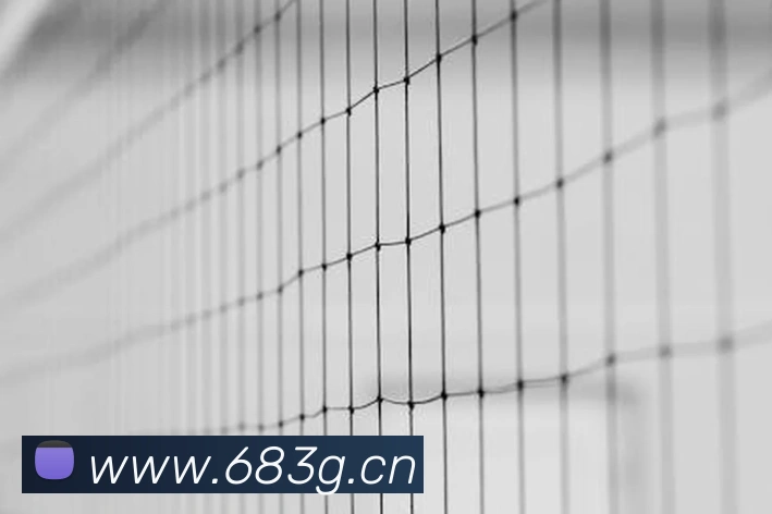 企业概况